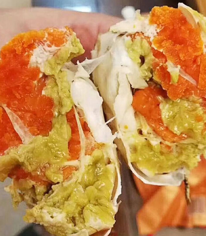 🦀 Premium Swimming Crabs: Bursting with Roe & Live to Your Door